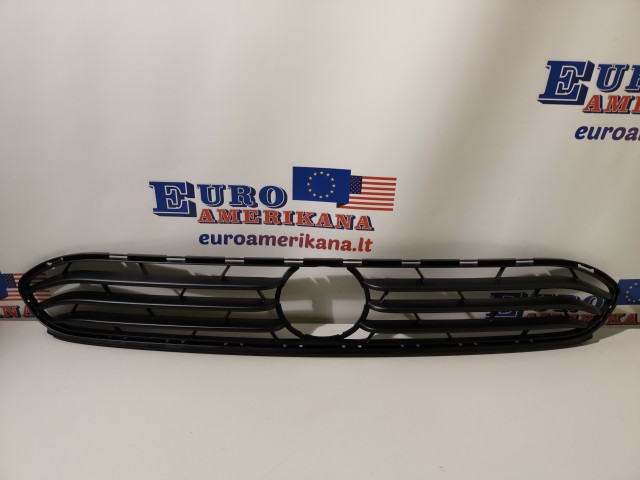 Lower Grille